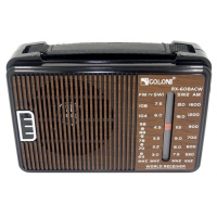 RX-608ACW Радиоприемник"Golon"